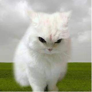 😡 emoji Стикер для илюши, чтоб не ебал мозги😘 Telegram sticker 10 of 93