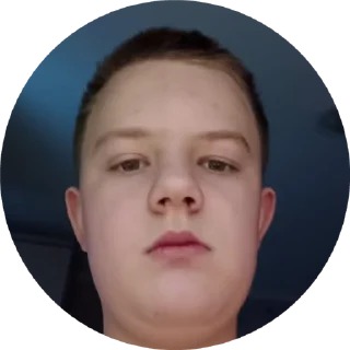 🫡 emoji Гордей Telegram sticker 13 of 50