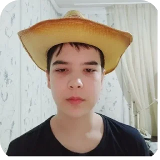 🎩 emoji Алкашы @Ctikerubot Telegram sticker 10 of 61