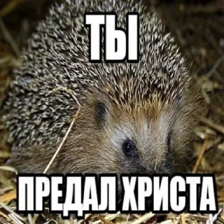 ☦️ emoji ОТОБРАННОЕ Telegram sticker 9 of 95