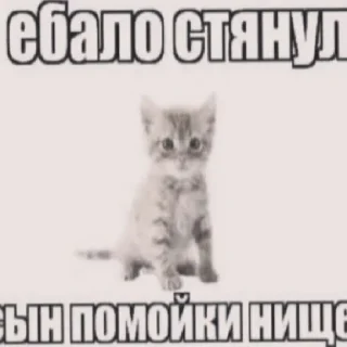 😄 emoji webnastyagomosekskachalstikitogdagey Telegram sticker 4 of 120