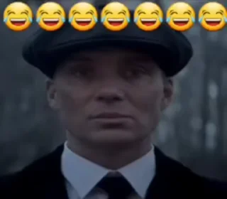 🥹 emoji Мемесы мой тег @toufit Telegram sticker 11 of 18