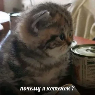 🤔 emoji Больше стиков тут: @stikery4 Telegram sticker 3 of 40