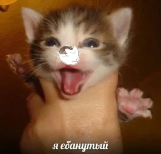 😏 emoji Больше стиков тут: @stikery4 Telegram sticker 21 of 40