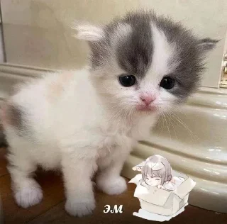 😐 emoji Больше стиков тут: @stikery4 Telegram sticker 12 of 40