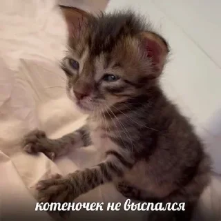😴 emoji Больше стиков тут: @stikery4 Telegram sticker 24 of 40