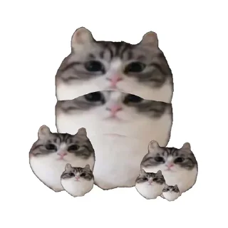 🧂 emoji Больше стиков тут: @stikery4 Telegram sticker 17 of 60