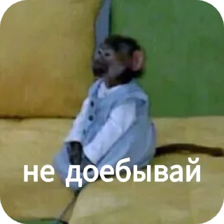 🪑 emoji Ты Не Шкибиди! @gif_makaka Telegram sticker 8 of 43