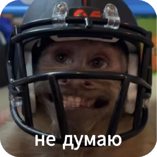 ⛑ emoji Ты Не Шкибиди! @gif_makaka Telegram sticker 6 of 43