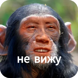 🧑‍🦯 emoji Ты Не Шкибиди! @gif_makaka Telegram sticker 15 of 43
