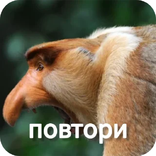 💀 emoji Ты Не Шкибиди! @gif_makaka Telegram sticker 19 of 43