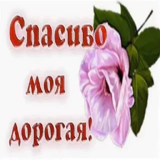 😘 emoji ебанаясука ➡️ @Ctikerubot Telegram sticker 1 of 21