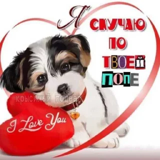 😅 emoji ебанаясука ➡️ @Ctikerubot Telegram sticker 2 of 21