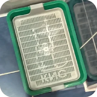 Sticker from Свэг
