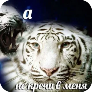🖼 emoji Стикер пак @Kotiko_MoonNight Telegram sticker 16 of 48