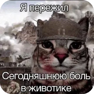 🖼 emoji Стикер пак @Kotiko_MoonNight Telegram sticker 6 of 48