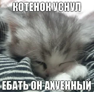 🤍 emoji Больше стикеров 👉🏻 @stickertg4 Telegram sticker 19 of 85