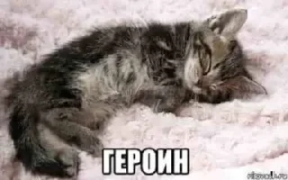 🤍 emoji Больше стикеров 👉🏻 @stickertg4 Telegram sticker 12 of 85
