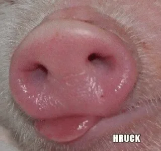 🐽 emoji БРЕДовый набор Telegram sticker 6 of 118