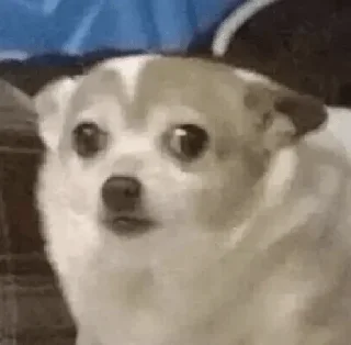 😳 emoji БРЕДовый набор Telegram sticker 10 of 118