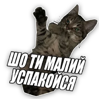 😉 emoji Marquise and his family Telegram sticker 11 of 81