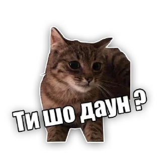 😕 emoji Marquise and his family Telegram sticker 16 of 81
