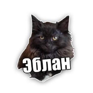 😠 emoji Marquise and his family Telegram sticker 12 of 81