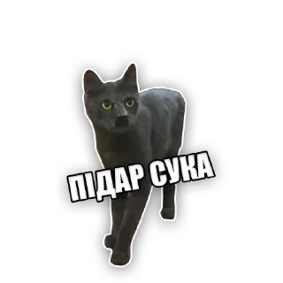 😡 emoji Marquise and his family Telegram sticker 18 of 81