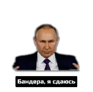 🤝 emoji Росняві нацисти Telegram sticker 5 of 26