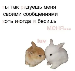 🐾 emoji адри и джаг Telegram sticker 7 of 11