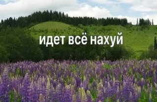 🤩 emoji ВАНЯВАХУЕ Telegram sticker 1 of 110