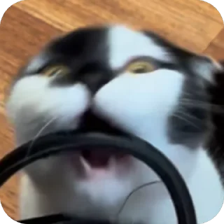 🤯 emoji Herr Каспер ➡️ @Ctikerubot Telegram sticker 22 of 116