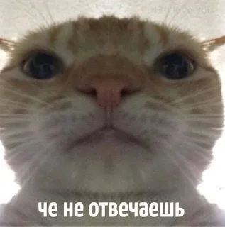 Sticker from Просто пак