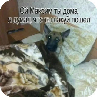 👍 emoji спиздил-мамы нет Telegram sticker 20 of 118