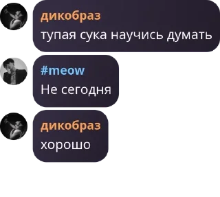 🌖 emoji Абхазы правят миром. pack by @QuotLyBot Telegram sticker 8 of 27