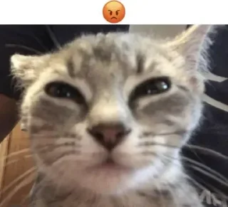 😡 emoji Больше стикеров 👉🏻 @stickertg4 Telegram sticker 14 of 49