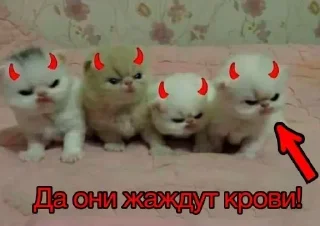 🩸 emoji Больше стикеров 👉🏻 @stickertg4 Telegram sticker 22 of 49