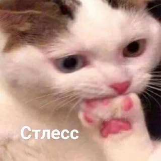 😐 emoji Больше стикеров 👉🏻 @stickertg4 Telegram sticker 14 of 120