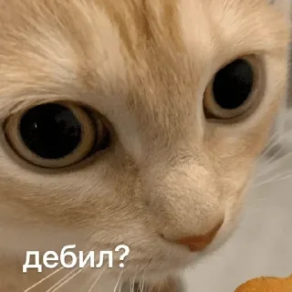 🙄 emoji Больше стикеров 👉🏻 @stickertg4 Telegram sticker 5 of 120