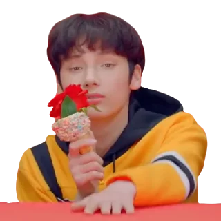 🌹 emoji @jonafzan TXT KPOP Telegram sticker 8 of 79