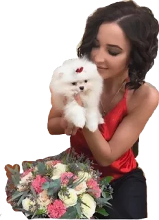 🐶 emoji Больше стиков тут: @stikery4 Telegram sticker 17 of 33