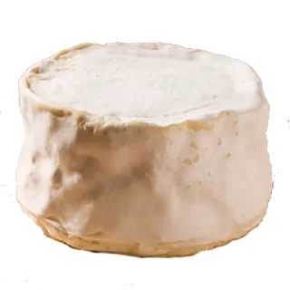 🧀 emoji Больше стиков тут: @stikery4 Telegram sticker 19 of 25