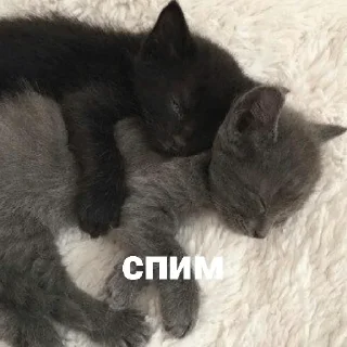 💤 emoji Больше стиков тут: @stikery4 Telegram sticker 21 of 40