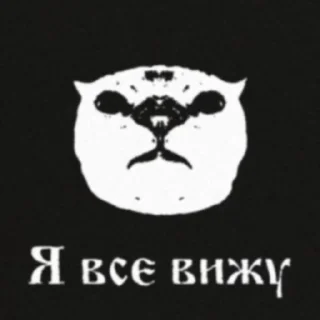 ☠️ emoji Больше стикеров 👉🏻 @stickertg4 Telegram sticker 23 of 39