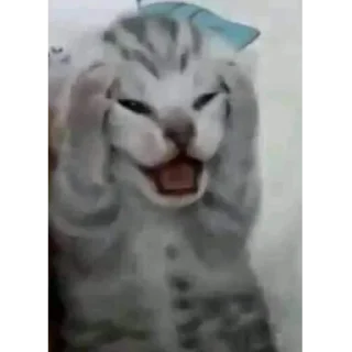 😧 emoji Дженнимоды тут --} @pisuncik228 Telegram sticker 10 of 120