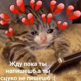 😭 emoji Дженнимоды тут --} @pisuncik228 Telegram sticker 8 of 120
