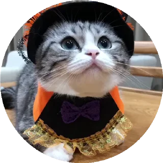 💃 emoji Больше стиков тут: @stikery4 Telegram sticker 3 of 50