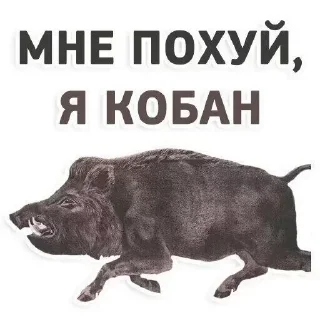 🤠 emoji Больше стикеров: @sticerru Telegram sticker 23 of 120