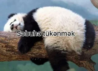 🤔 emoji @caaanndy @DTOUserBot Paketi 1 Telegram sticker 6 of 54