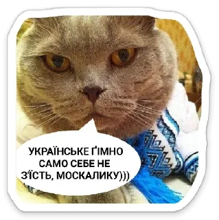 😌 emoji УКРАЇНОФІЛІЯ АБО СМЕРТЬ! Telegram sticker 21 of 120